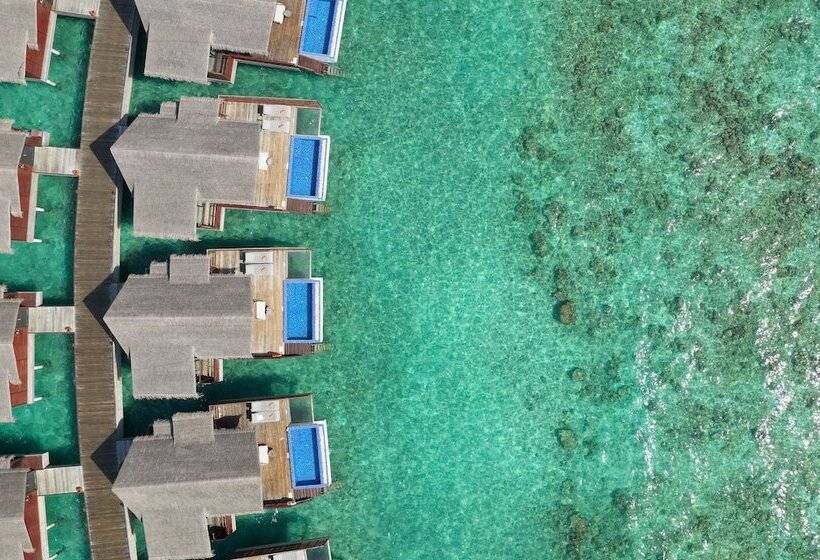 هتل Grand Park Kodhipparu Maldives   Child Stay & Eat Free Until 30 Nov 2024