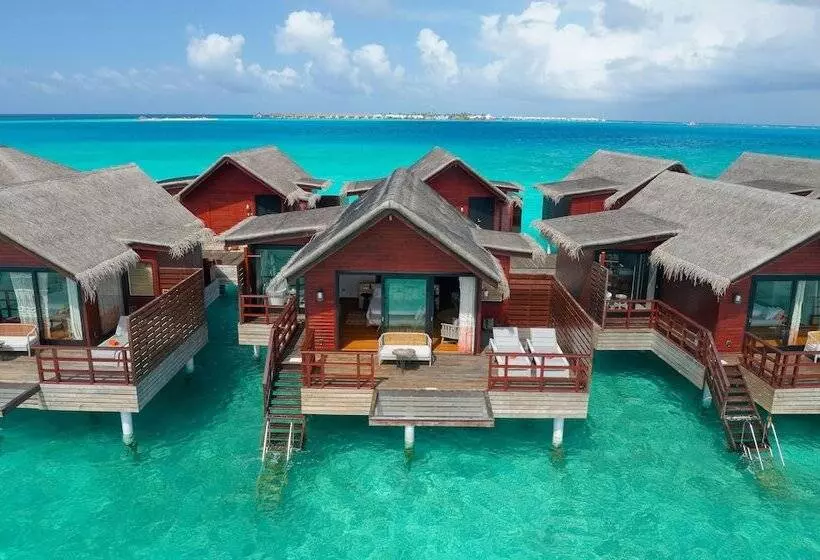 هتل Grand Park Kodhipparu Maldives   Child Stay & Eat Free Until 30 Nov 2024