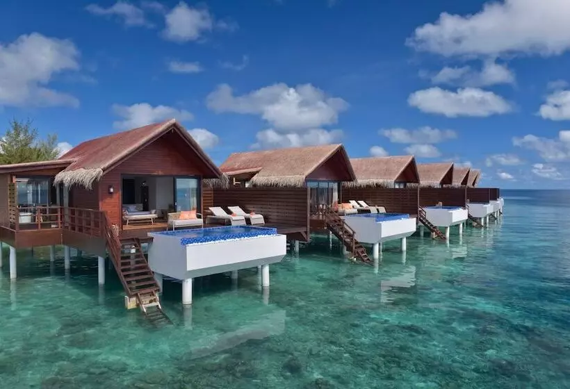 هتل Grand Park Kodhipparu Maldives   Child Stay & Eat Free Until 30 Nov 2024