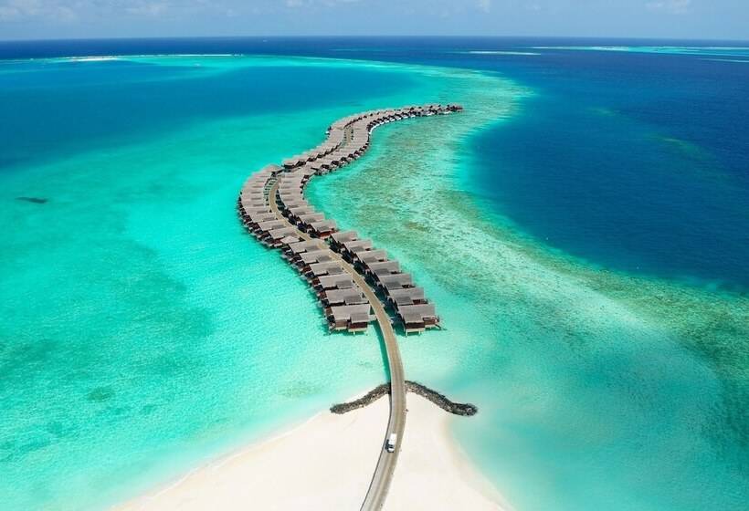 هتل Grand Park Kodhipparu Maldives   Child Stay & Eat Free Until 30 Nov 2024