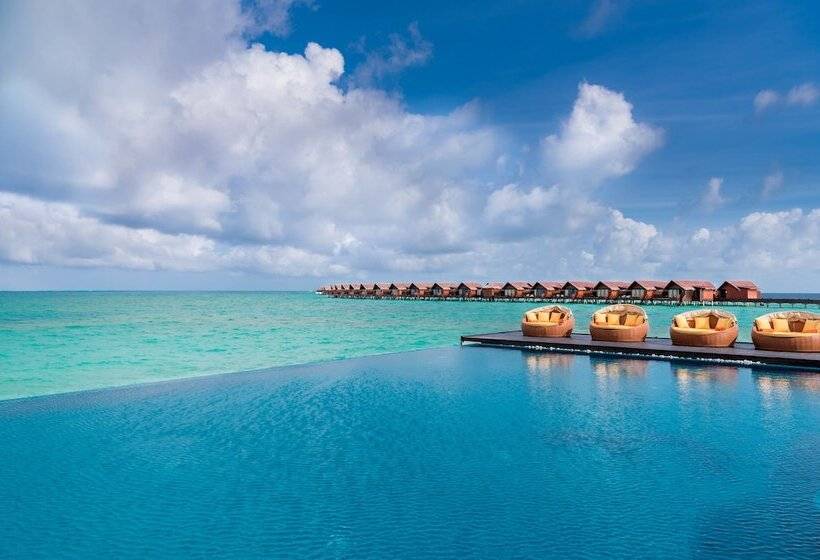 هتل Grand Park Kodhipparu Maldives   Child Stay & Eat Free Until 30 Nov 2024