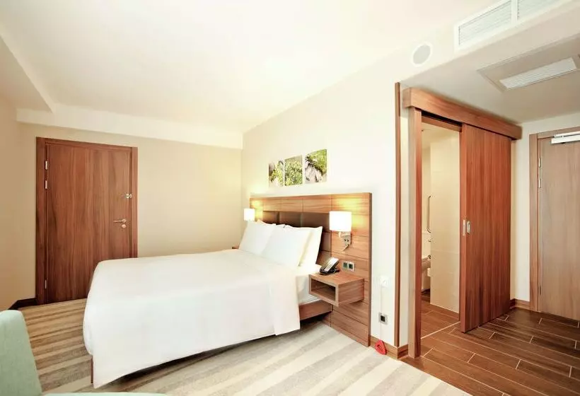 ホテル Hilton Garden Inn Moscow Krasnoselskaya