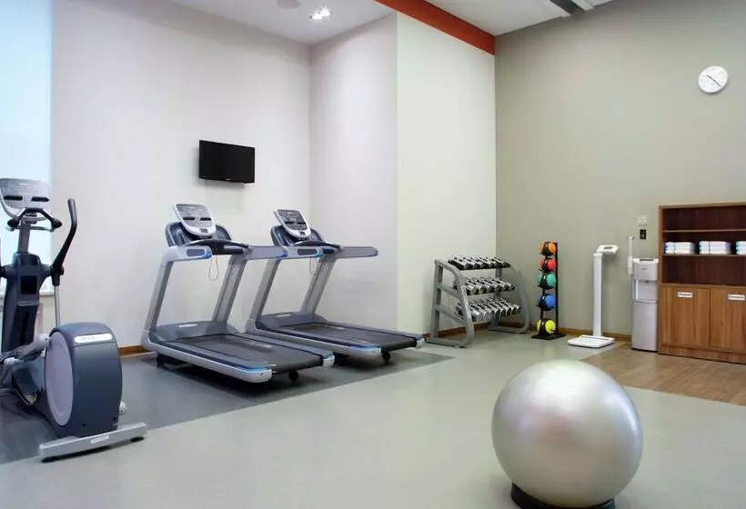 ホテル Hilton Garden Inn Moscow Krasnoselskaya