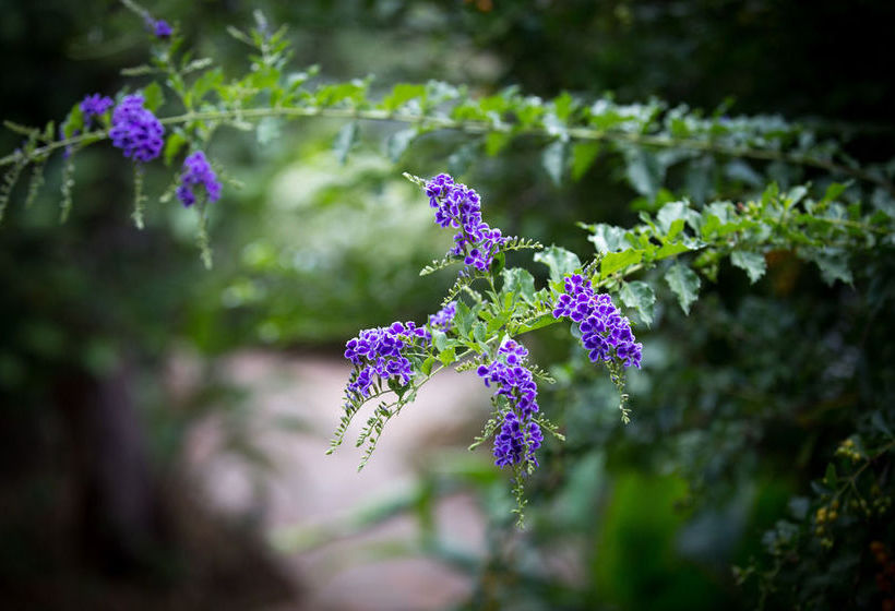 هتل Kep Uv Resort