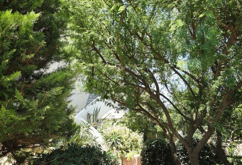 Nancy   Chara Apartments