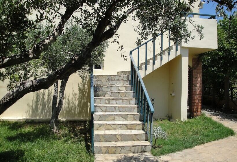 Nancy   Chara Apartments