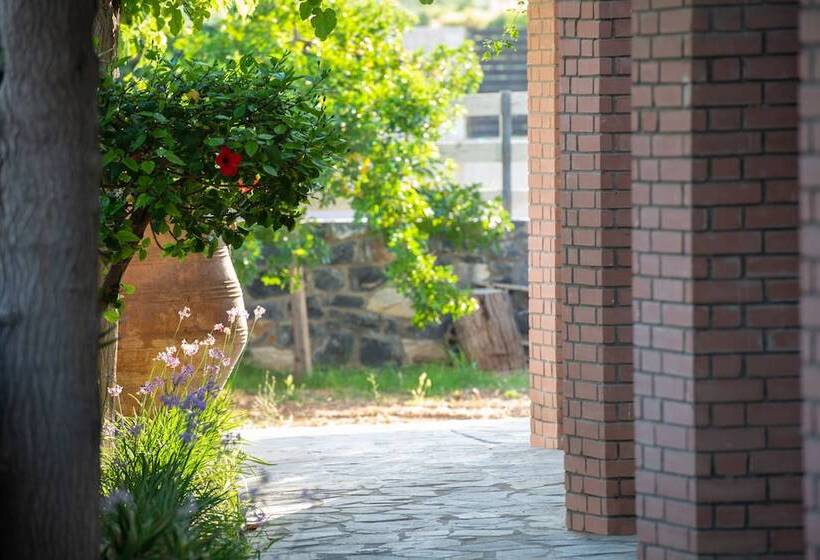 Nancy   Chara Apartments