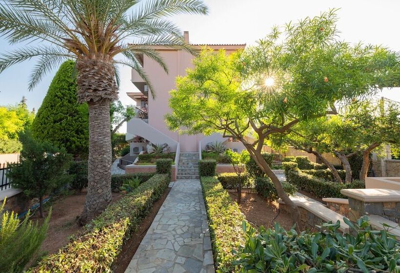 Nancy   Chara Apartments