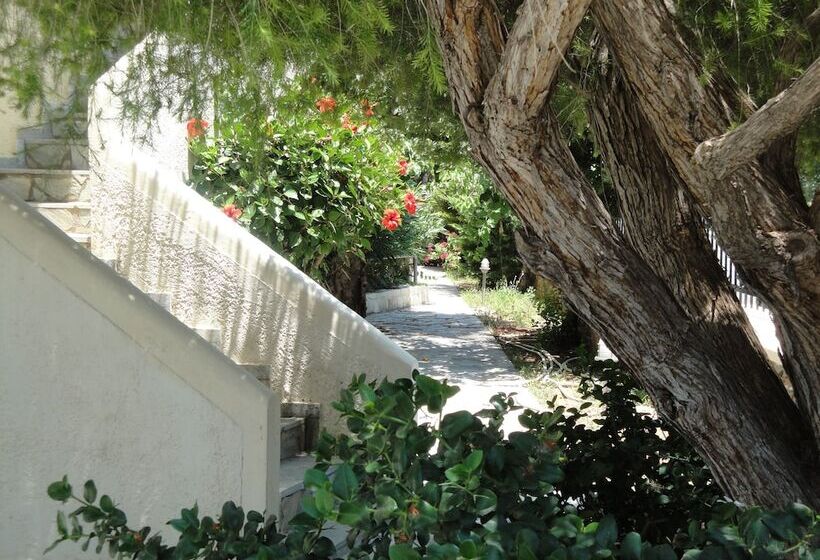 Nancy   Chara Apartments