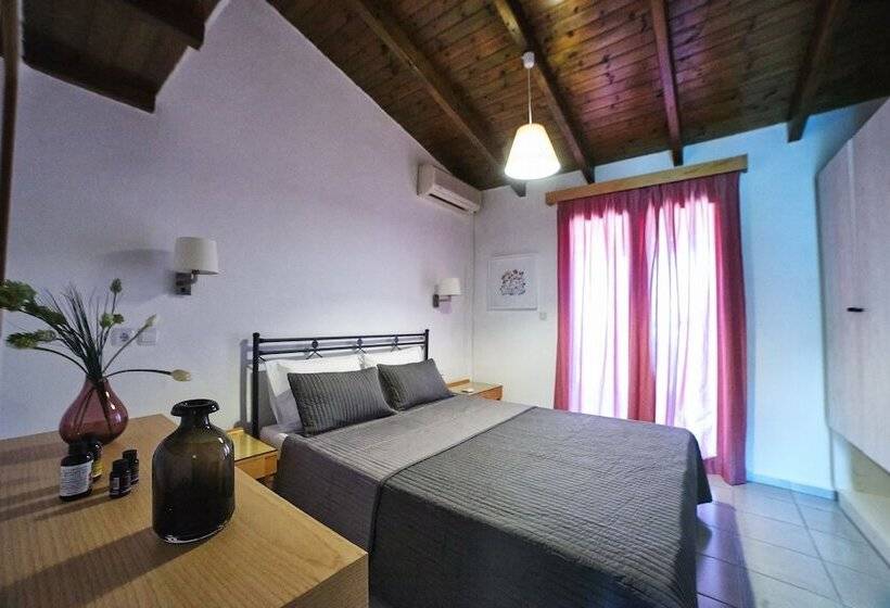 Nancy   Chara Apartments