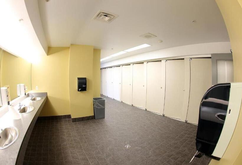 فندق صغير Dalhousie University Accommodations