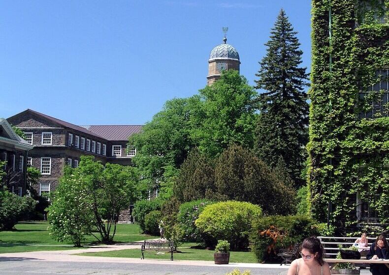 فندق صغير Dalhousie University Accommodations