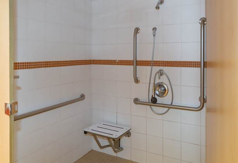 فندق صغير Dalhousie University Accommodations