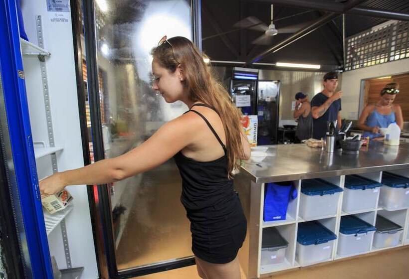 旅馆 Scotty S Mission Beach