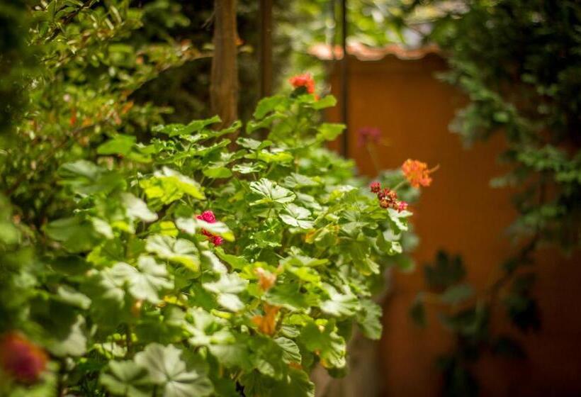 Family Hotel Saint Iliya