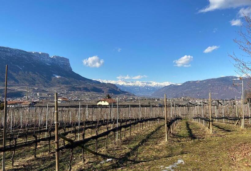 בית מלון כפרי Gasthof Wastl