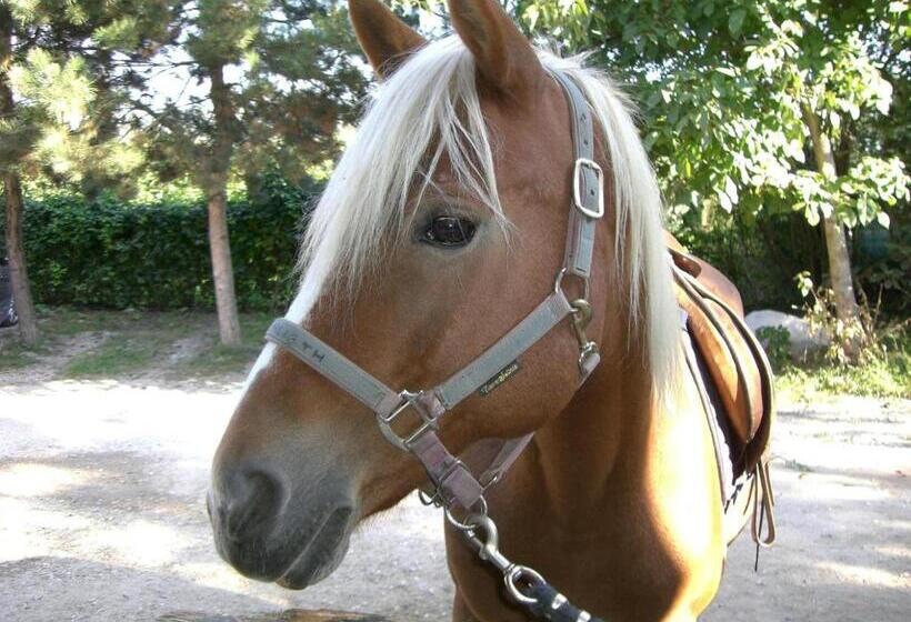 בית מלון כפרי Gasthof Wastl