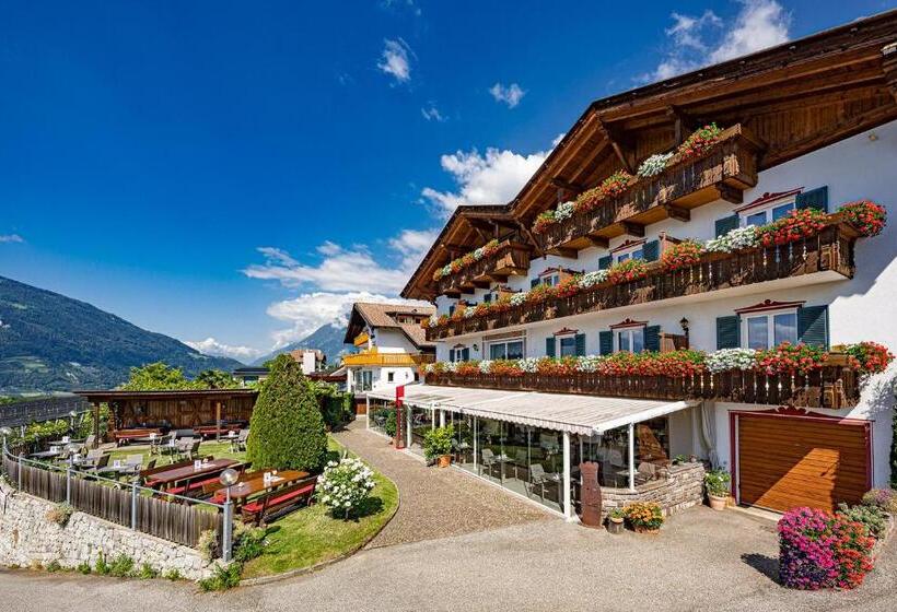 בית מלון כפרי Stefanie