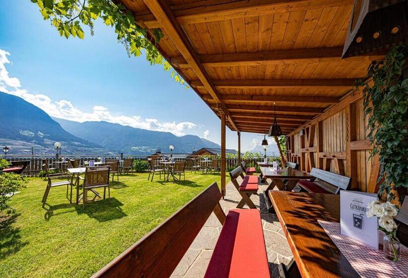 בית מלון כפרי Stefanie