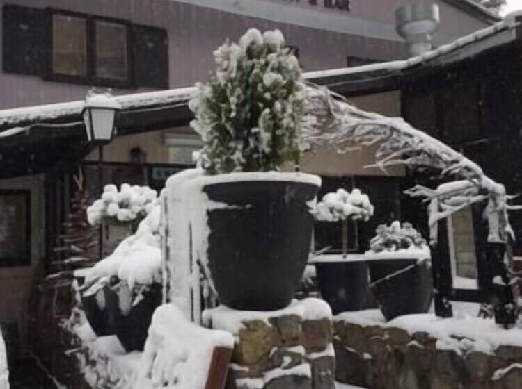 모텔 Black Bear Inn