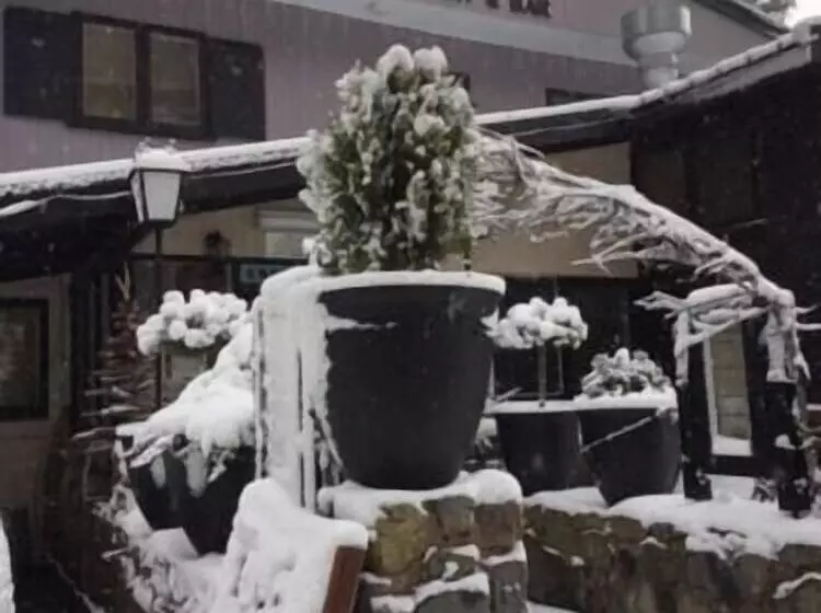 モーテル Black Bear Inn