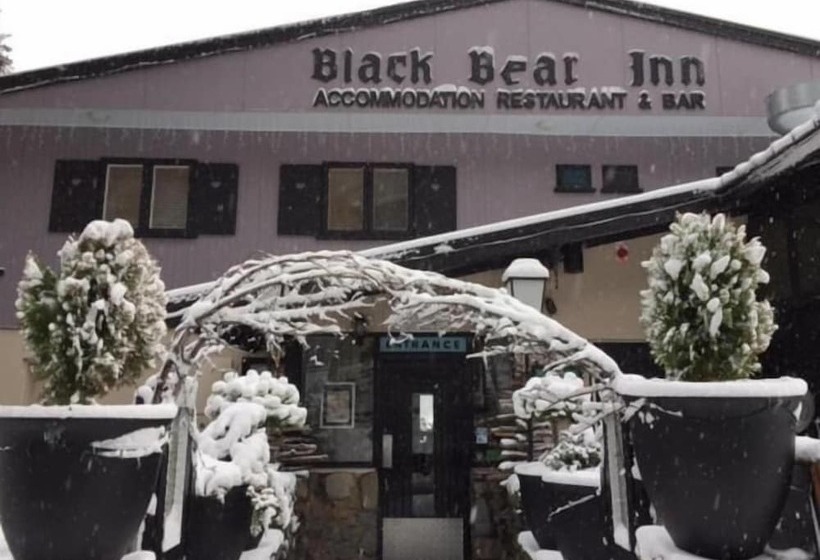 모텔 Black Bear Inn