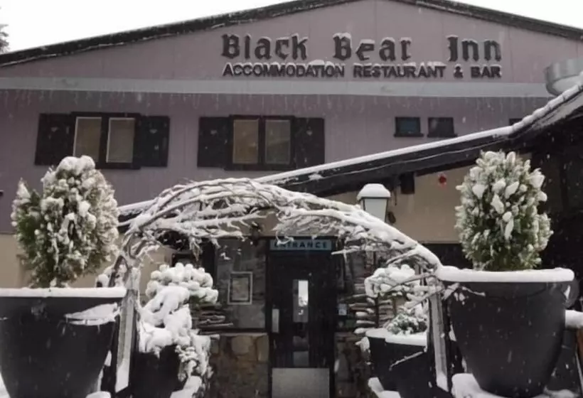 モーテル Black Bear Inn