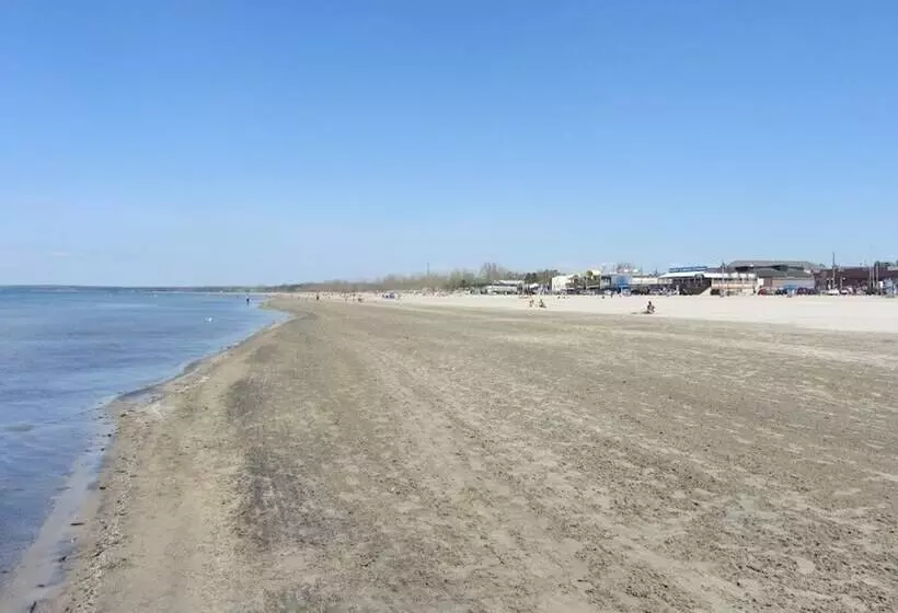 Saga Resort