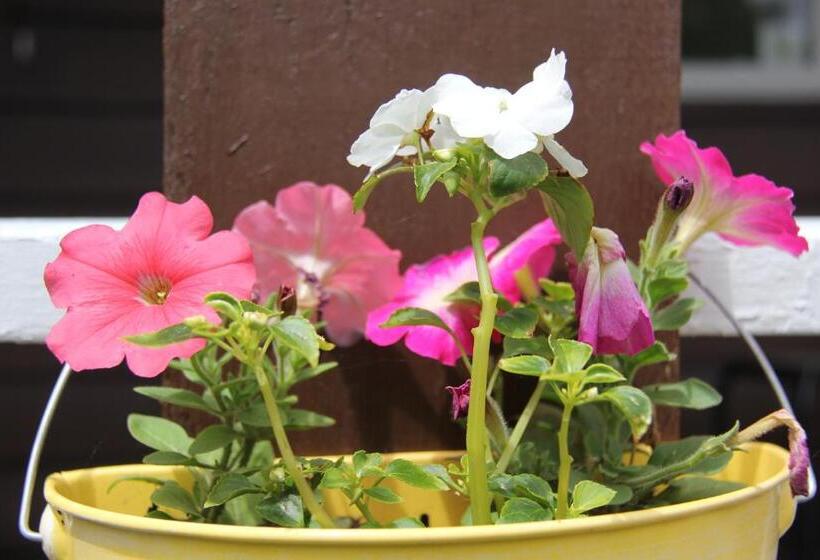 Serendib Bed And Breakfast