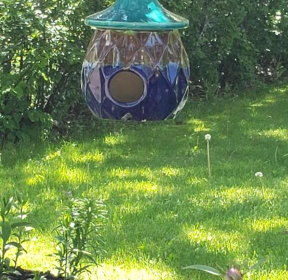 Serendib Bed And Breakfast