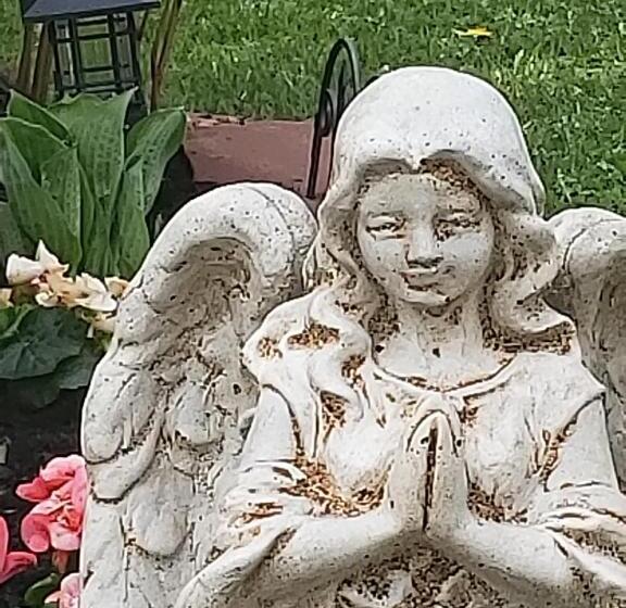 Serendib Bed And Breakfast