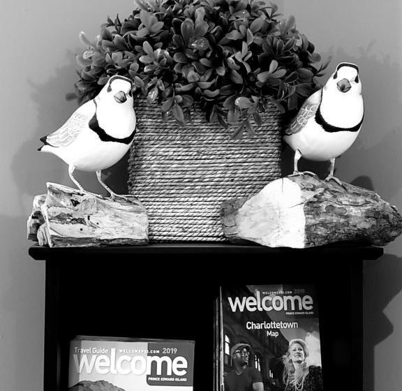 Serendib Bed And Breakfast