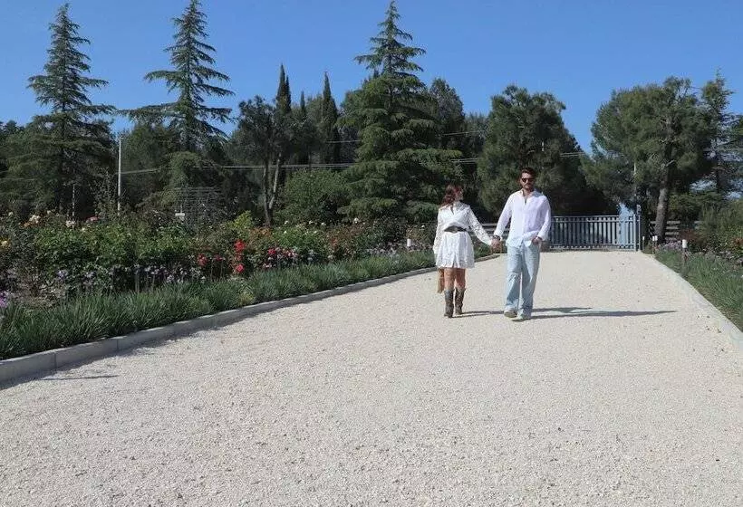 تختخواب و صبحانه Quarto Di Monte Suite & Spa