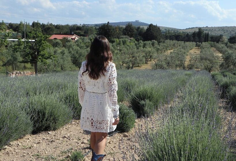 Bed and Breakfast Quarto Di Monte Suite & Spa