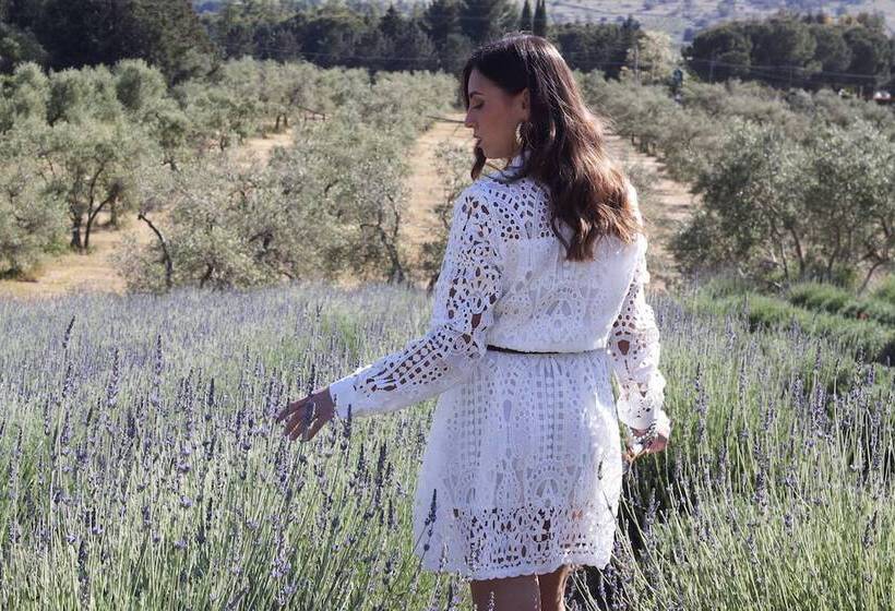 Bed and Breakfast Quarto Di Monte Suite & Spa