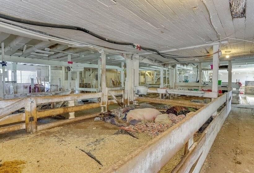 Honesdale Cabin: 110 Shared Acres, Animal Rescue!