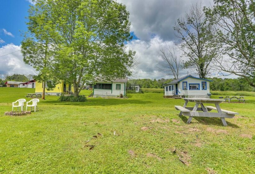 Honesdale Cabin: 110 Shared Acres, Animal Rescue!
