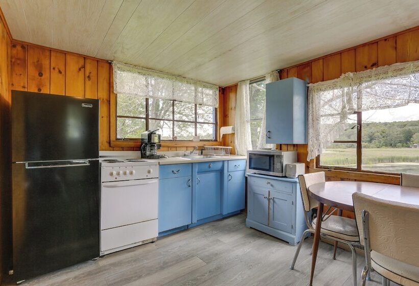 Honesdale Cabin: 110 Shared Acres, Animal Rescue!