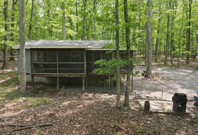 Bear Necessities  Forget Your Worries!