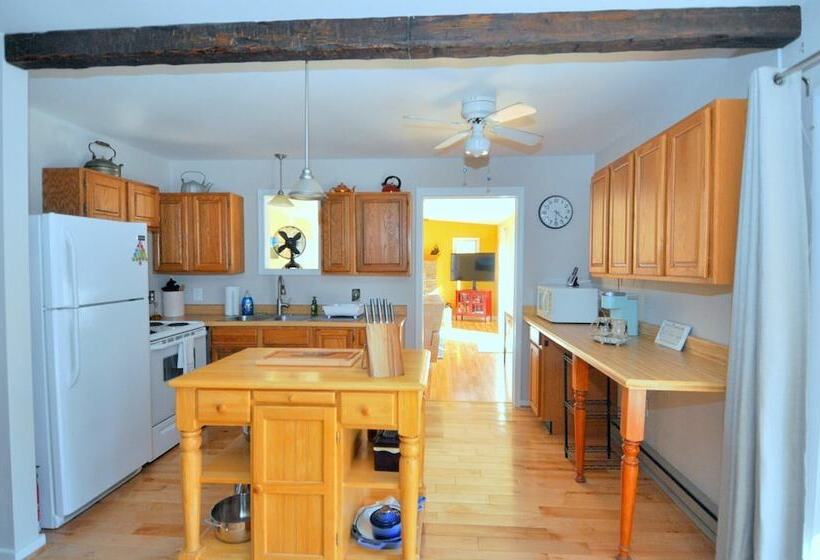 Bear Necessities  Forget Your Worries!