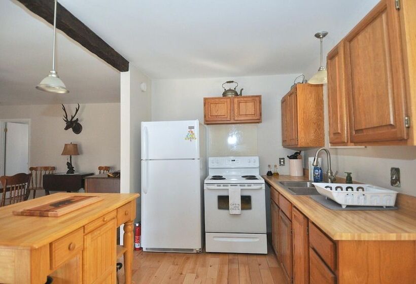 Bear Necessities  Forget Your Worries!