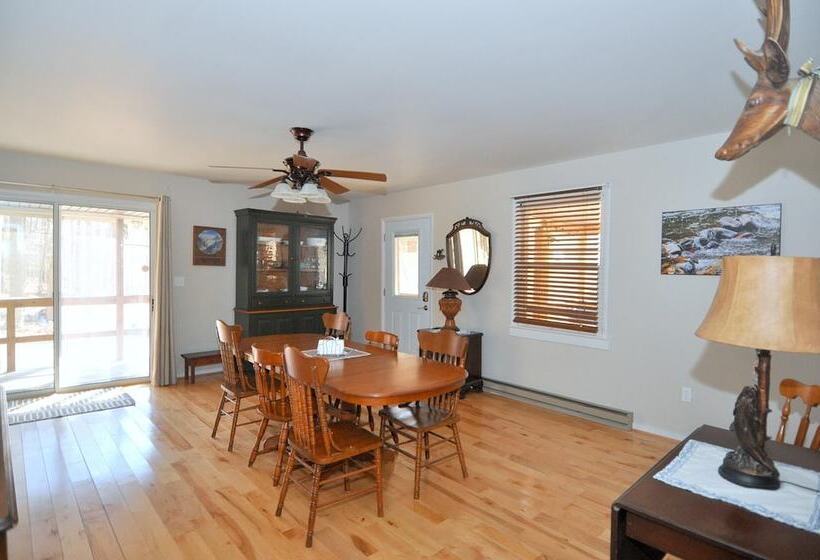 Bear Necessities  Forget Your Worries!