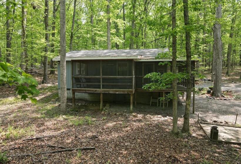 Bear Necessities  Forget Your Worries!