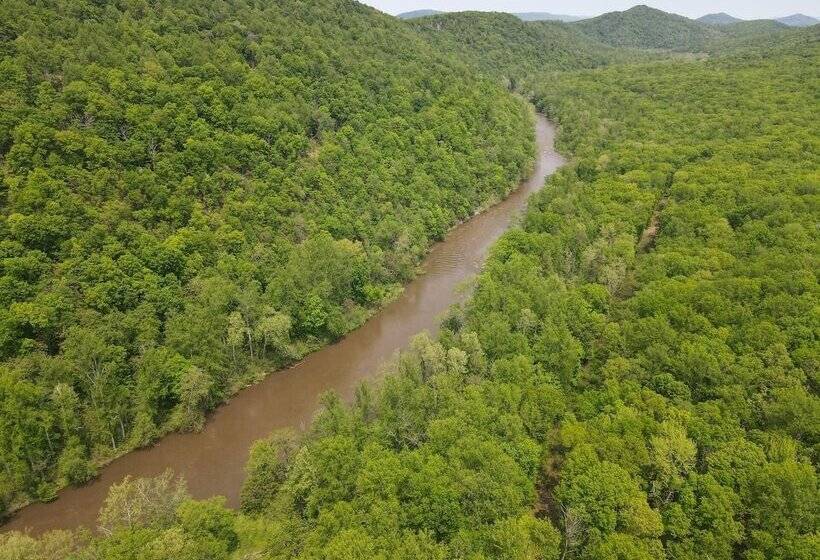 Bear Necessities  Forget Your Worries!