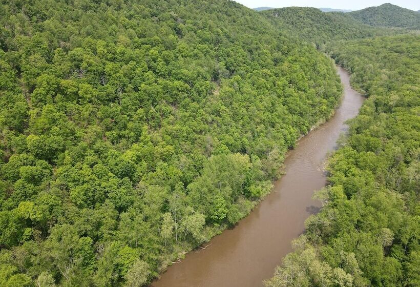 Bear Necessities  Forget Your Worries!