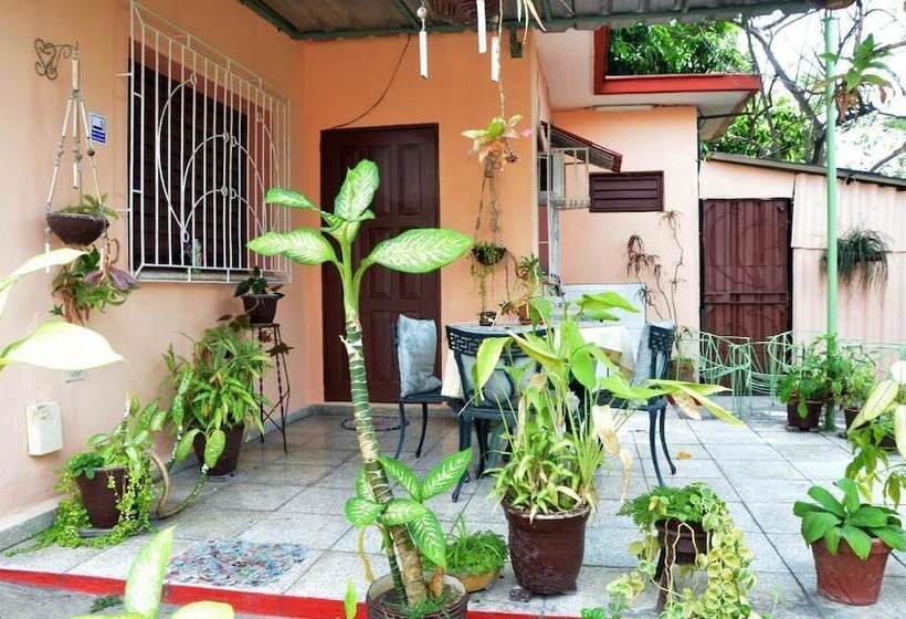 تختخواب و صبحانه Hostal Mary & Rafe