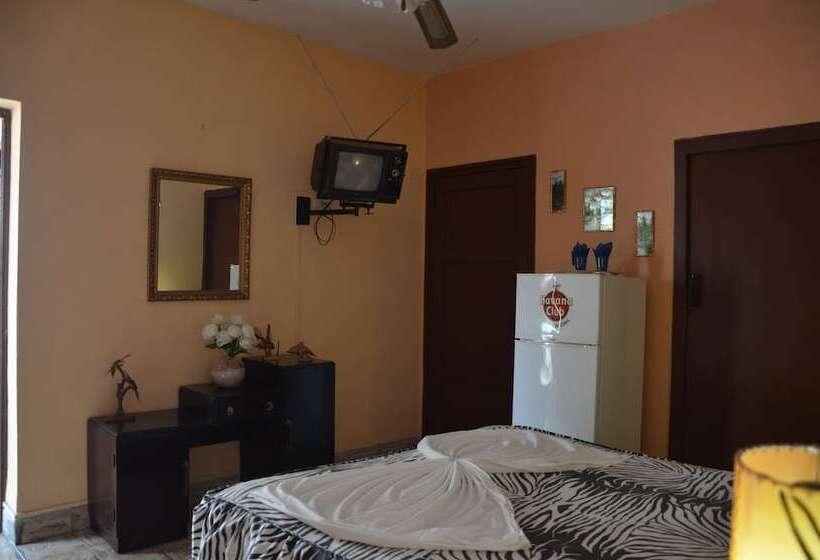 تختخواب و صبحانه Hostal Mary & Rafe