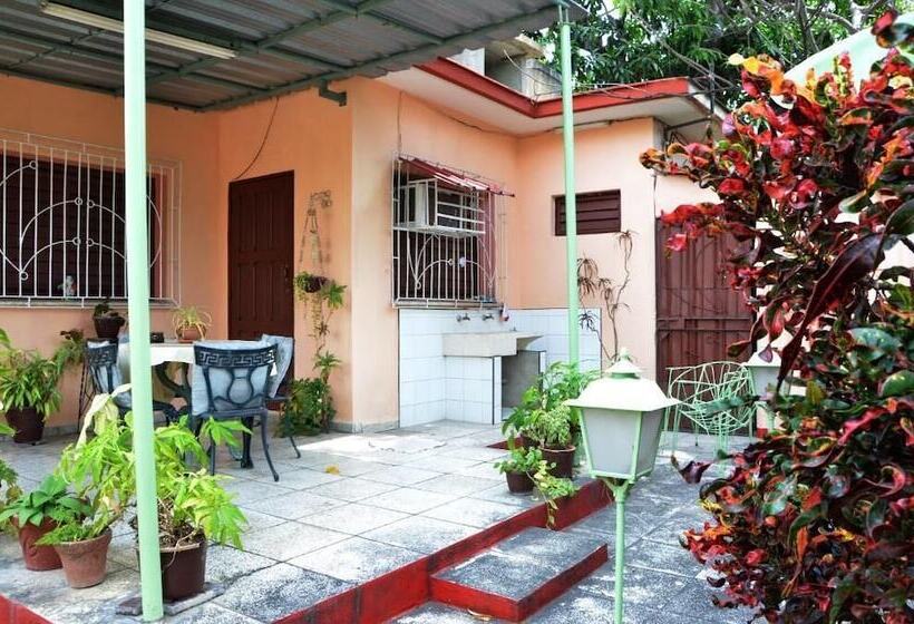 تختخواب و صبحانه Hostal Mary & Rafe