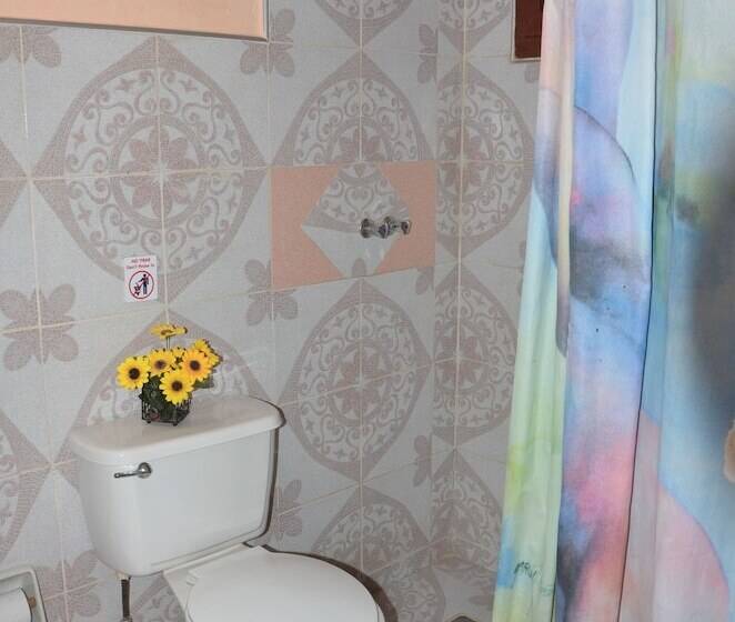 تختخواب و صبحانه Hostal Mary & Rafe