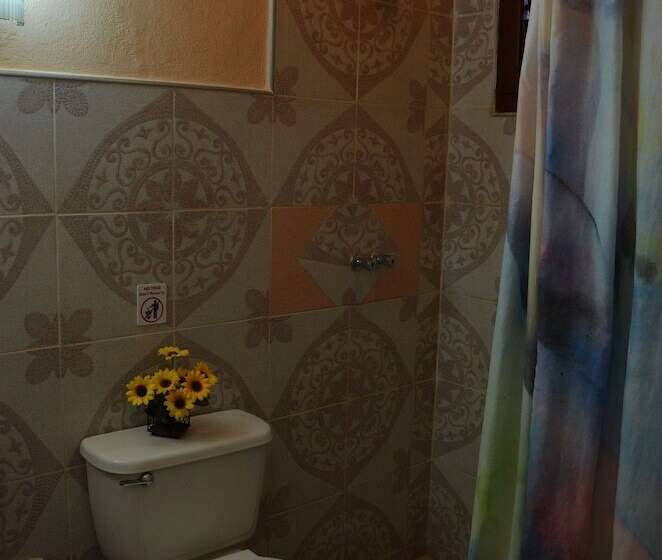 تختخواب و صبحانه Hostal Mary & Rafe